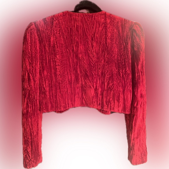 90’s Crushed Red Velvet Bolero - Picture 2 of 5